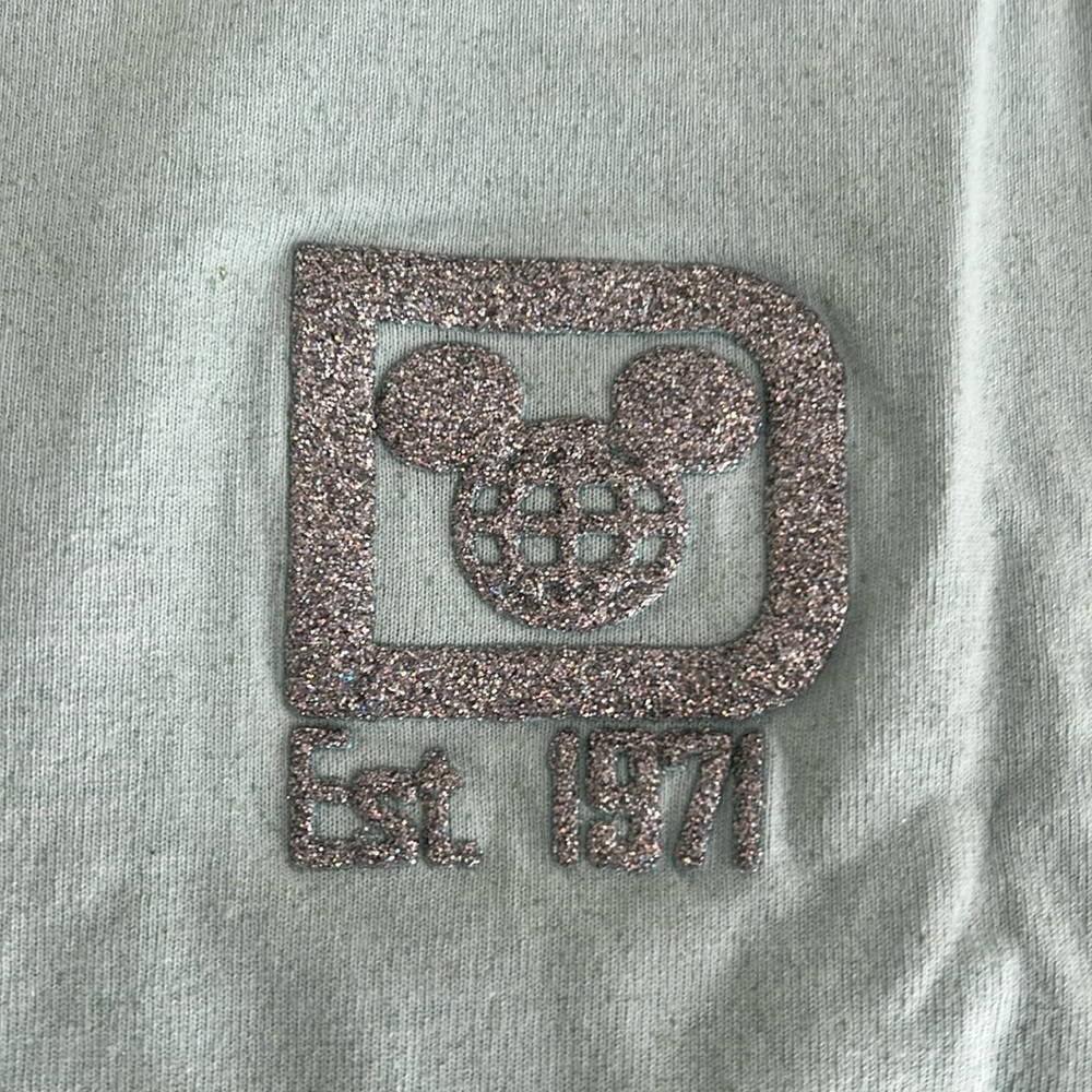 WDW light blue & silver glitter spirit jersey